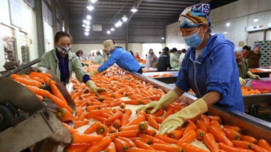 Vietnam expects more markets to open to farm produce in 2023